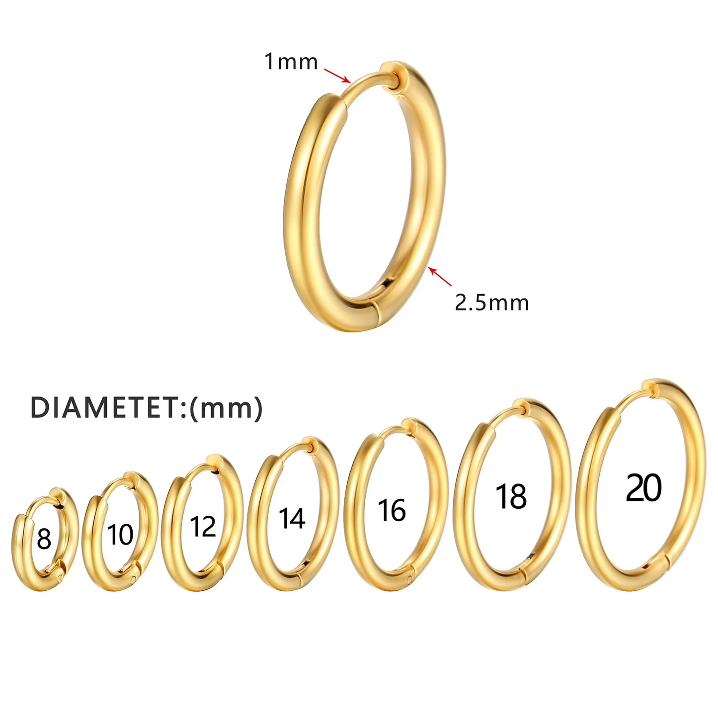 Stainless Steel Small Hoop Earrings for Women