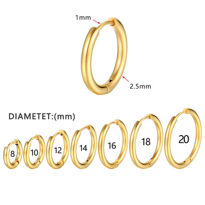 Stainless Steel Small Hoop Earrings for Women